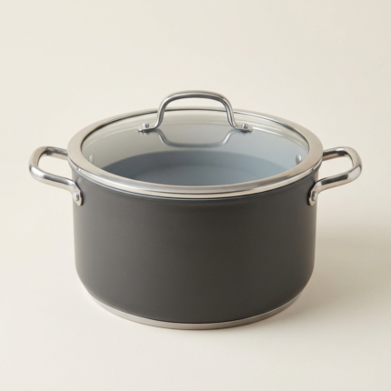 Pestsafe 8-Quart Nonstick Stockpot with Glass Lid
